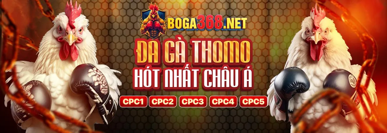 Đá gà trực tuyến j888 đăng nhập